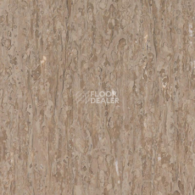 Линолеум Tarkett iq Optima GREY BEIGE 0820 фото 1 | FLOORDEALER